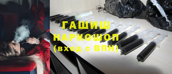 стаф Бородино