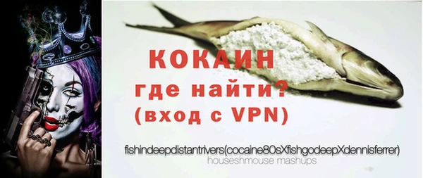 стаф Бородино