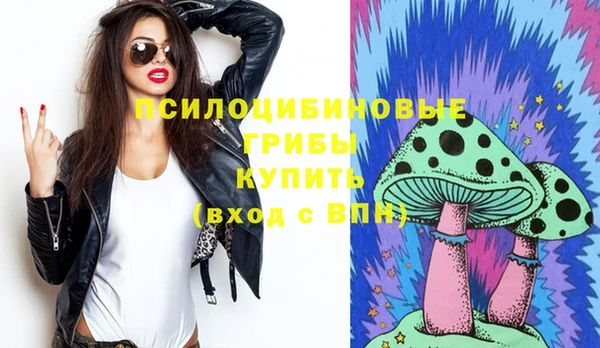 apvp Бугульма