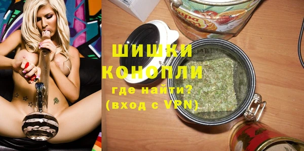 стаф Бородино