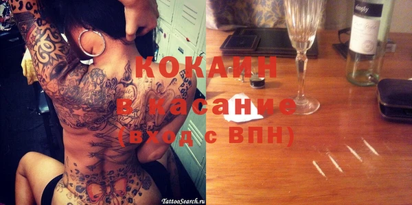 стаф Бородино
