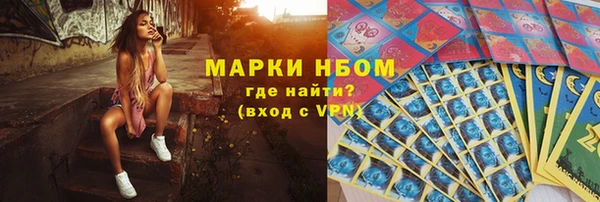 стаф Бородино