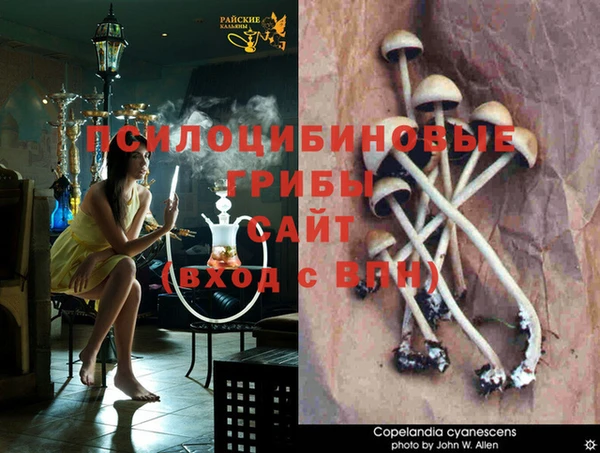 apvp Бугульма