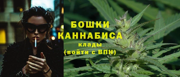 стаф Бородино