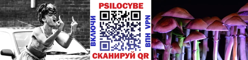 Купить закладки  Нижние Серги  Галлюциногенные грибы ЛСД 