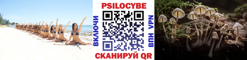 Галлюциногенные грибы Psilocybe Нижние Серги